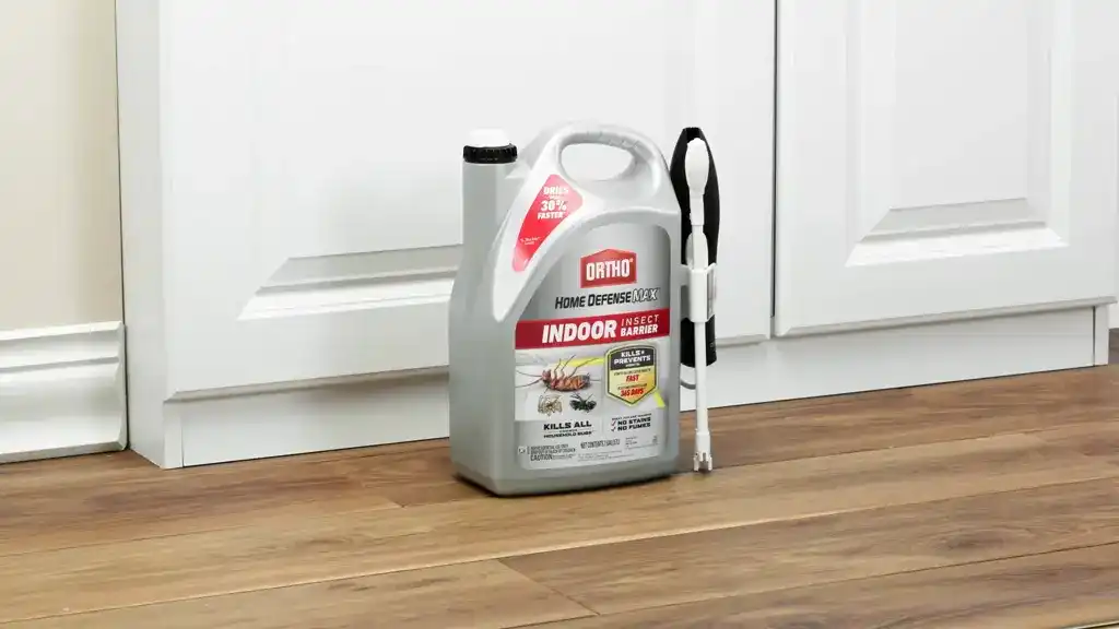 Interactive Video Thumbnail
