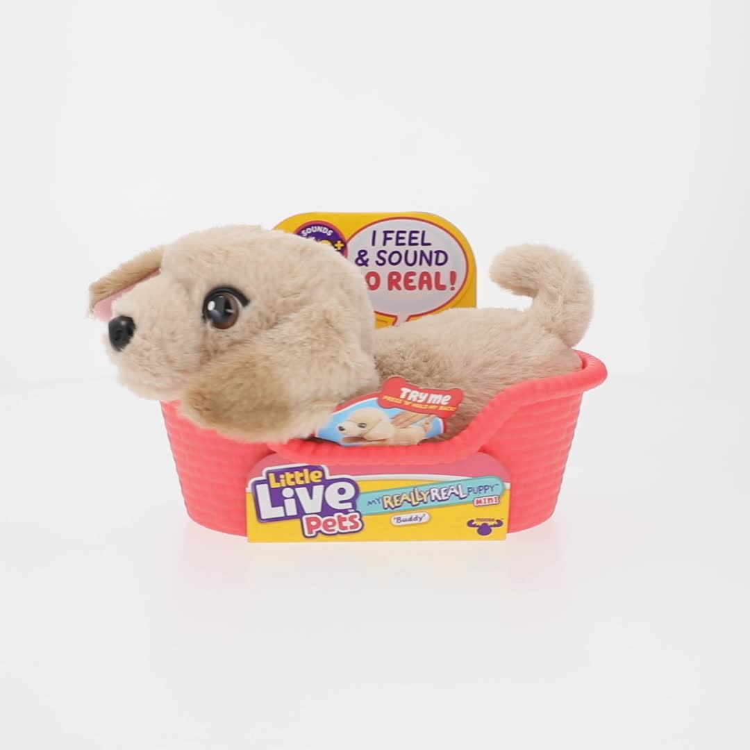 Little Live Pets My Really Real Puppy Minis, Buddy the Retriever