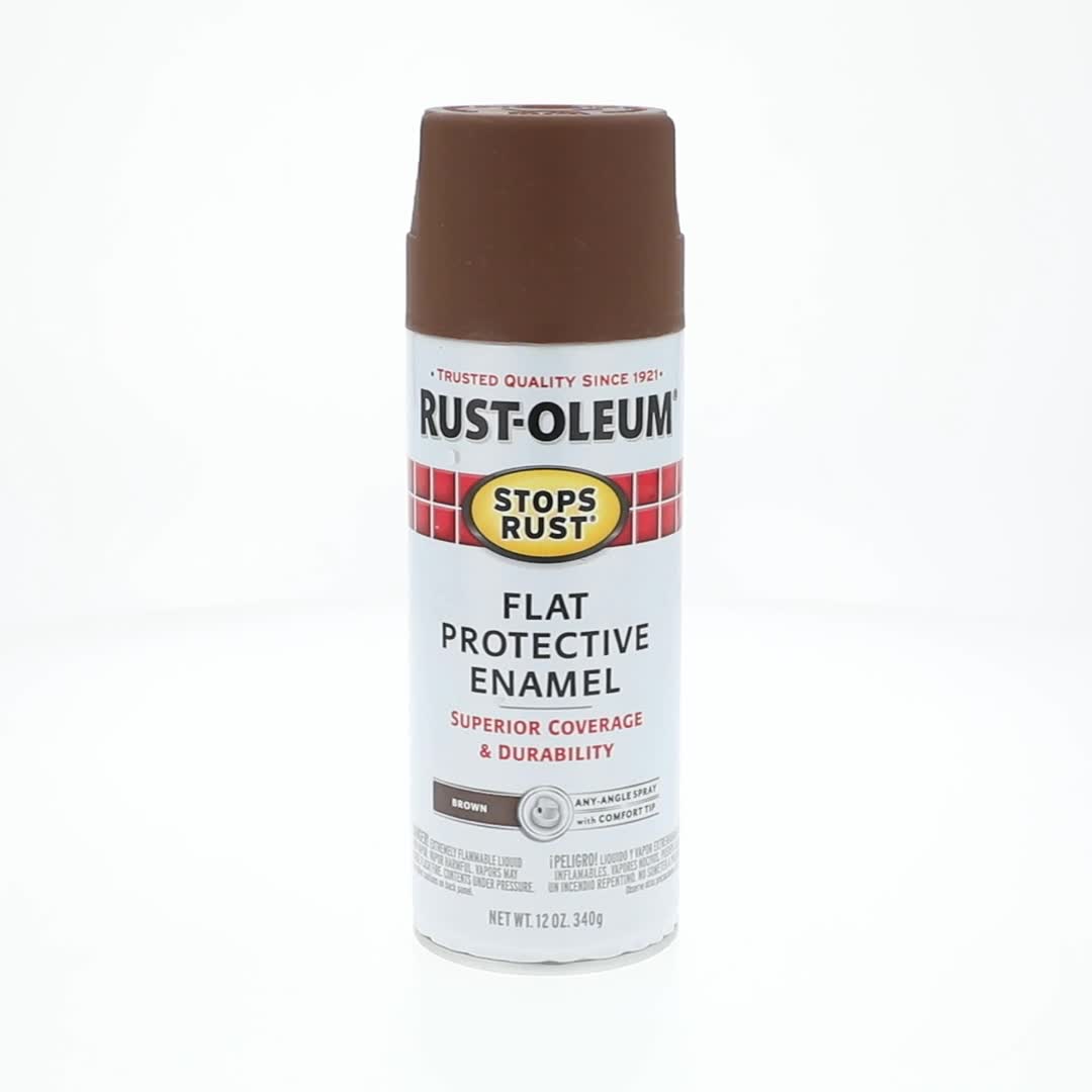 Rust-Oleum, Stops Rust Protective Enamel Spray Paint, 214085, 12