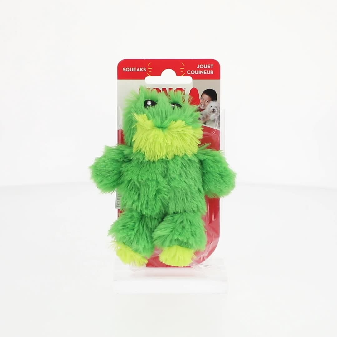KONG® Dr.Noyz Dog Toy with Squeaker, Frog, XS for Dogs Up to 5 lbs