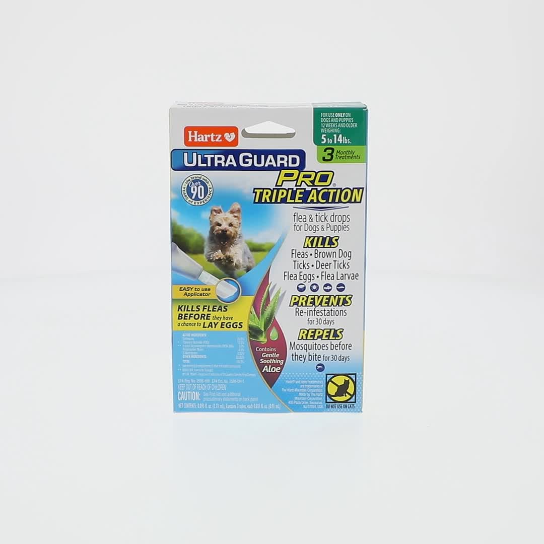 FULL DOG GUARD フルドッグガード LIME GLOW 新商品情報】W.FULL DOG GUARD 9/12発売