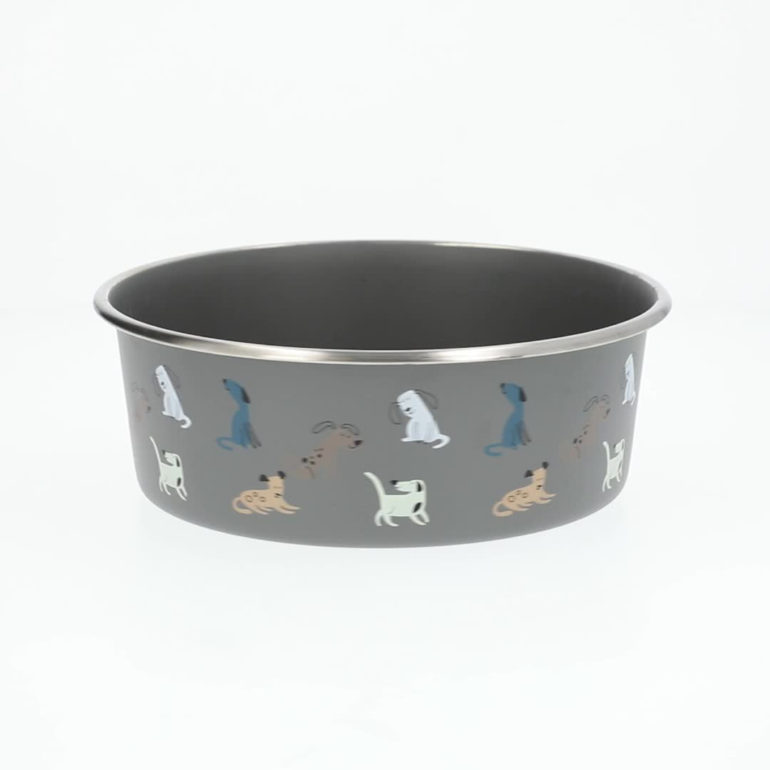 Vibrant Life Stainless Steel Dog Bowl, Large 64 oz Blue with Dog