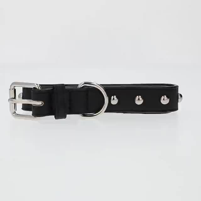 Vibrant Life Black Leather Large Dog Collar with Gold Studs