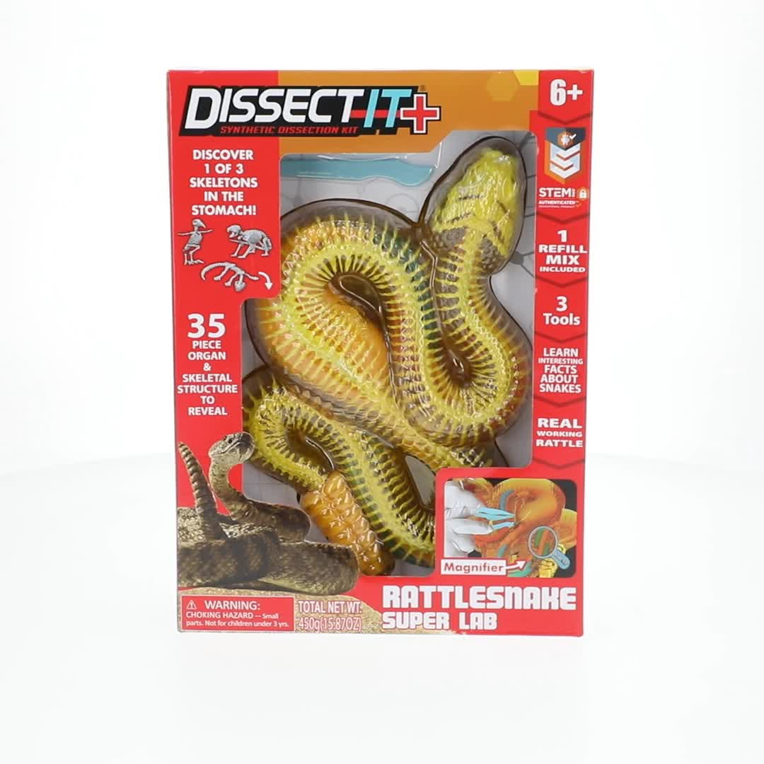 Dissect It Rattlesnake Superlab Dissection Kit for Kids, Realistic